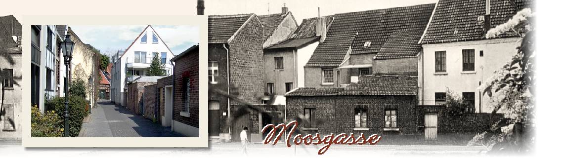 Header-moosgasse.jpg