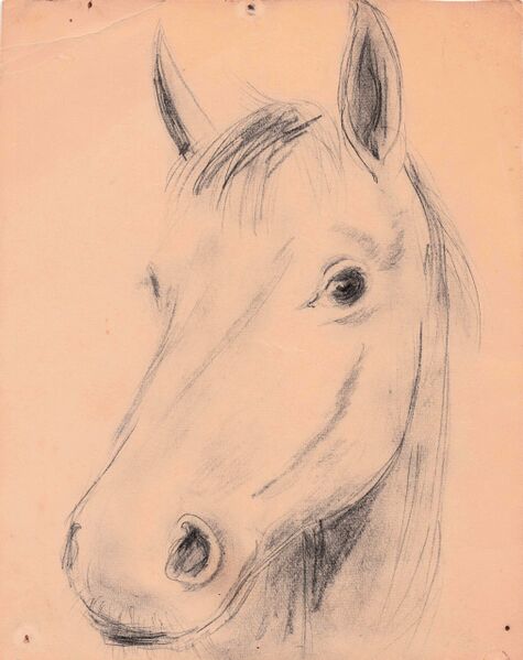 Datei:Schmitz-Kürten Pferd orig.jpg