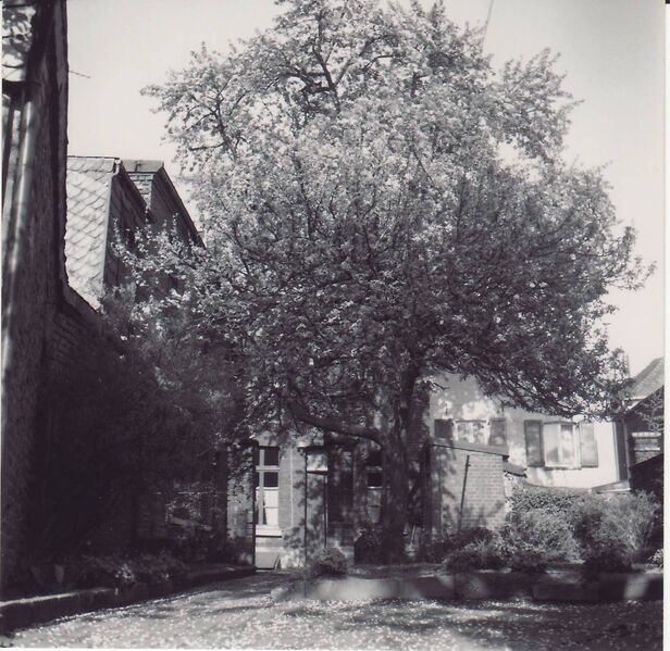 Datei:Oelstr. 21 Rückfront.JPG