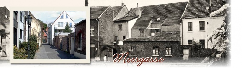 Datei:Header-moosgasse.jpg