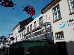 Stein 20180418 114741.jpg